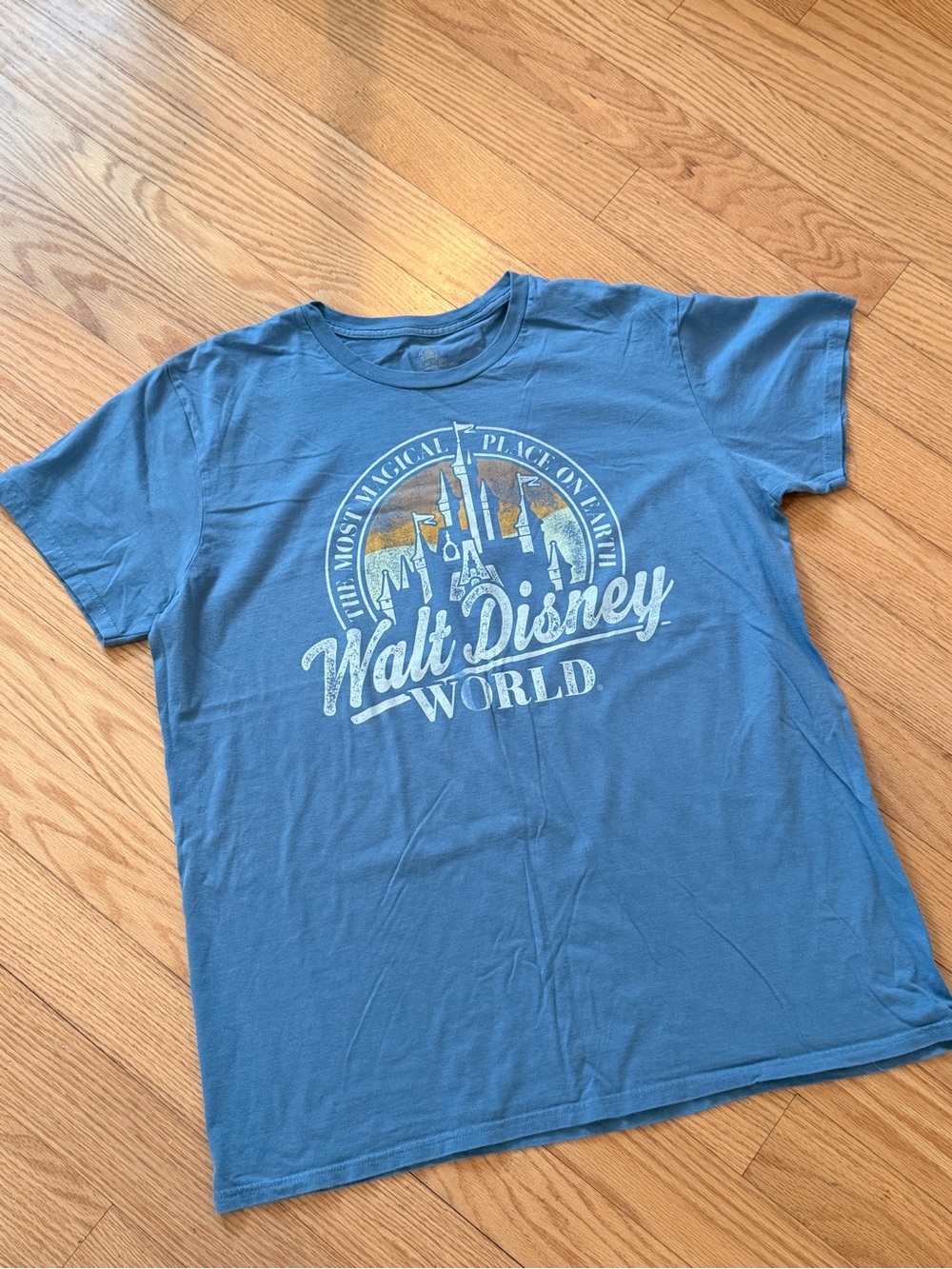 Disney Blue men’s Graphic Tee